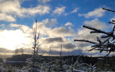 Joulu-mitä se on? Christmas-what,s really?